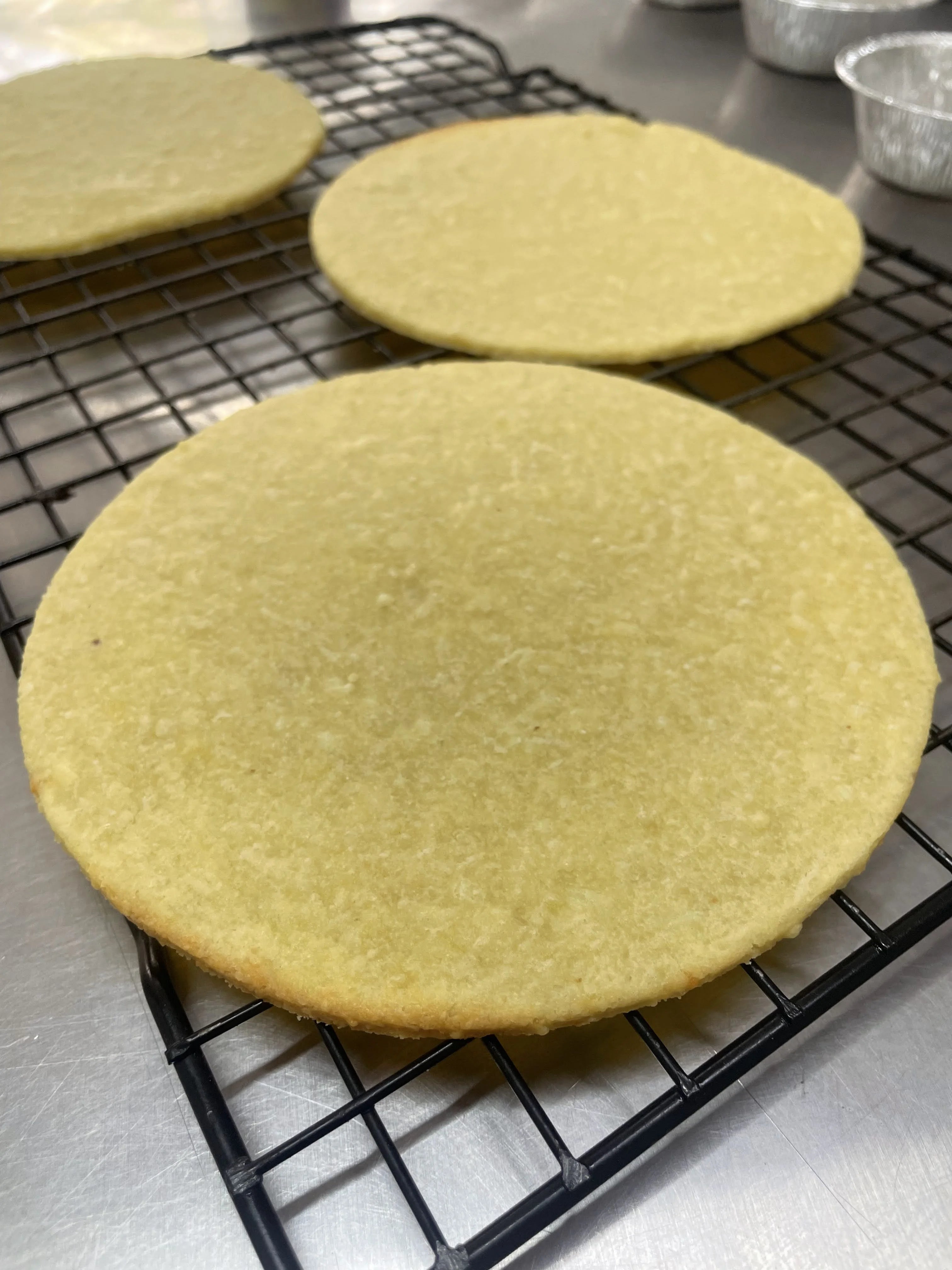 Disco de Pizza Low Carb - Flor de Amendoa - Produtos Low Carb